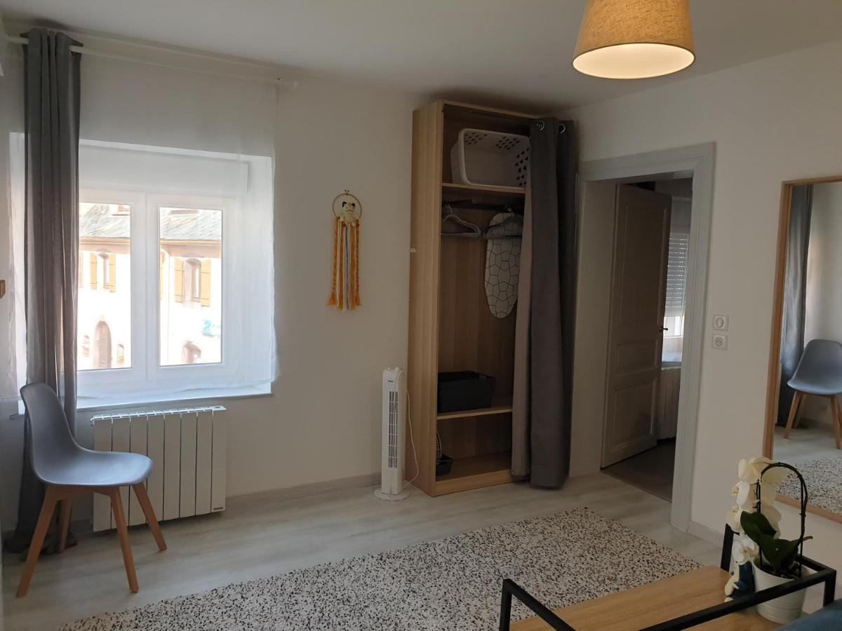 Le Terramon - Appartement 4 Personnes Orbey Eksteriør bilde
